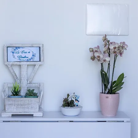 La Casa Di Carolina *