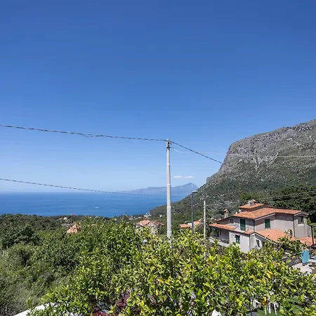 La Casa Di Carolina