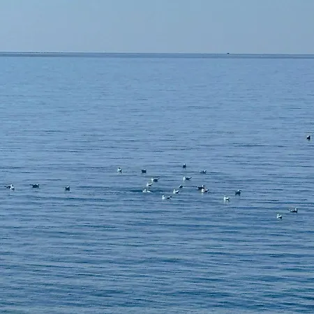 La Casa Di Carolina דירה