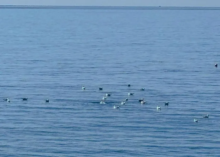 La Casa Di Carolina דירה